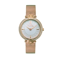 Ρολόι ALVIERO MARTINI 1A CLASSE Madeira 1696984 Mesh Bracelet Χρυσό